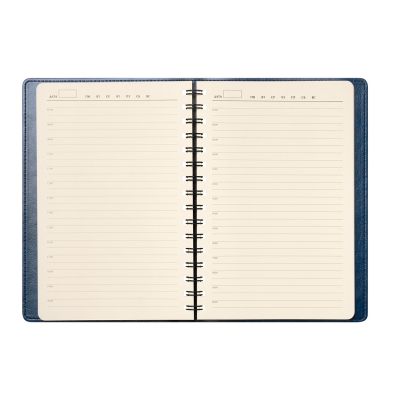 Ежедневник Vista Neo недатированный, синий-8
