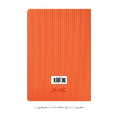 Ежедневник Рейн (Rain) недатированный, оранжевый (без упаковки, без стикера)-13