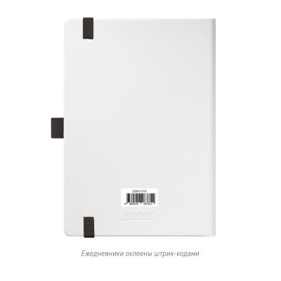 Ежедневник Arctic недатированный, белый/черный-15