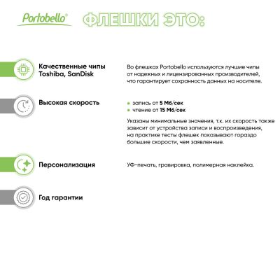 Флешка Elegante 16 Gb в подарочной упаковке, серебряная-6