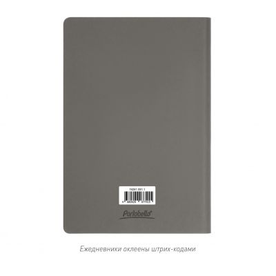 Ежедневник Star недатированный, серый (без упаковки, без стикера)-11