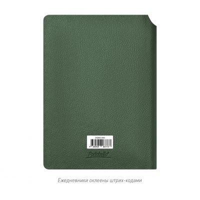 Ежедневник Molto недатированный, зеленый-15