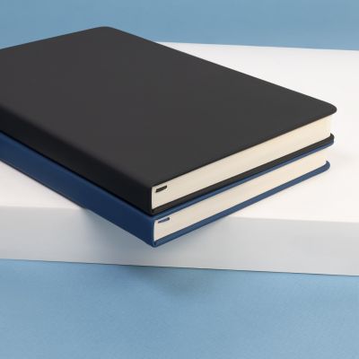 Ежедневник Alpha BtoBook недатированный, черный (без резинки, без упаковки, без стикера)-10