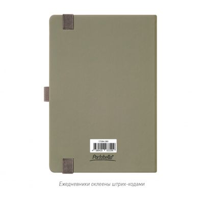 Ежедневник Альфа (Alpha) недатированный, серый/бирюзовый-10