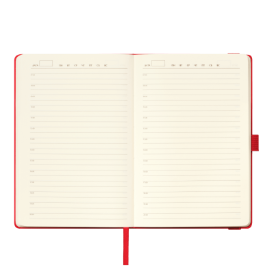 Ежедневник Alpha недатированный, красный/серый-8