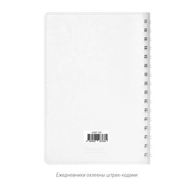 Ежедневник Vista Neo недатированный, белый-15