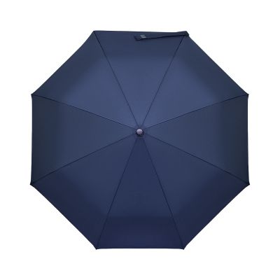 Зонт складной Пассат (Passat), синий-2