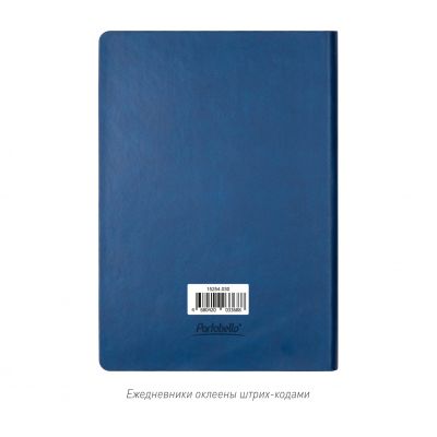 Ежедневник Латте (Latte NEW) недатированный, синий/голубой-11