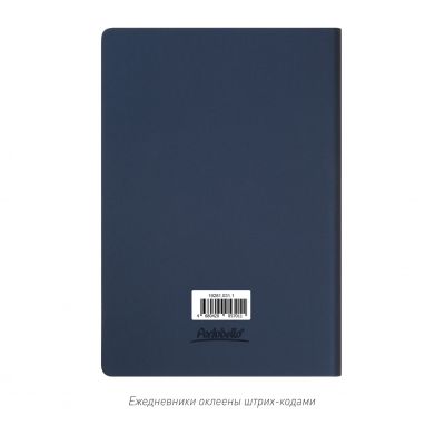 Ежедневник Стар (Star) недатированный, синий (без упаковки, без стикера)-11