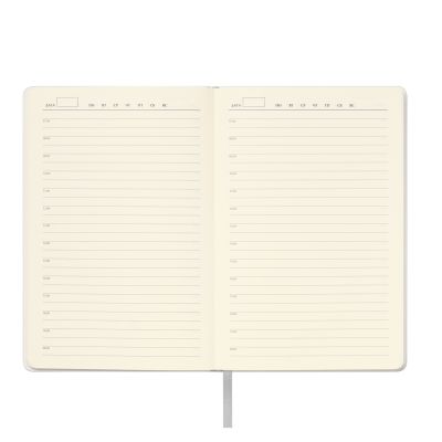 Ежедневник Spark недатированный, серебряный (с упаковкой, со стикерами)-7