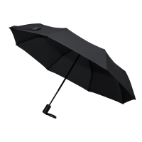 Зонт складной Passat, черный