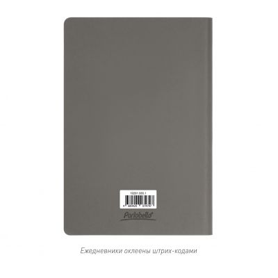 Ежедневник Стар (Star) недатированный, серый (без упаковки, без стикера)-11
