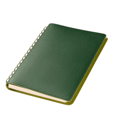 Ежедневник Vista недатированный, зеленый/салатовый-2