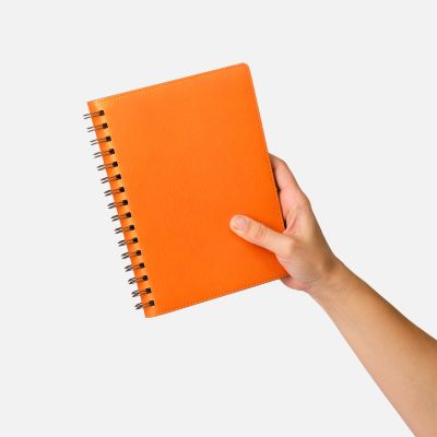 Ежедневник Виста (Vista) недатированный, оранжевый/коричневый-11