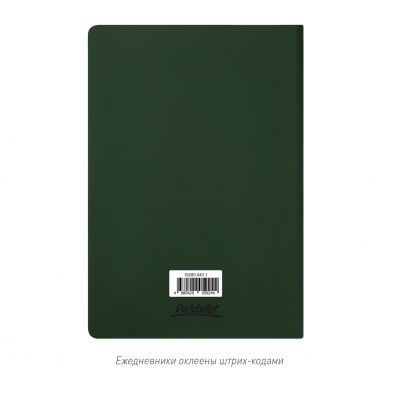 Ежедневник Спарк (Spark) недатированный, зеленый (без упаковки, без стикера)-12