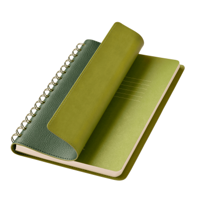 Ежедневник Vista недатированный, зеленый/салатовый-0