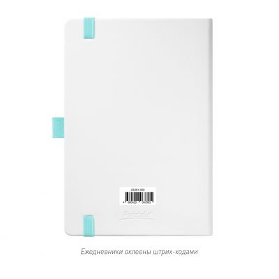Ежедневник Arctic недатированный, белый/бирюзовый-14