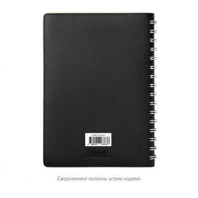 Ежедневник Vista недатированный, черный/бежевый-15