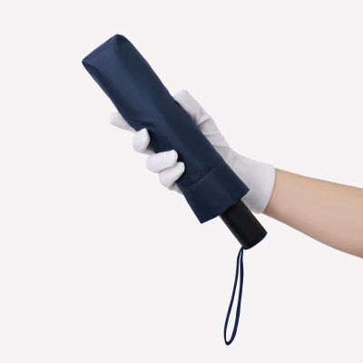 Зонт складной Пассат (Passat), синий-10