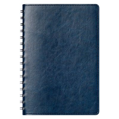 Ежедневник Vista Neo недатированный, синий-6