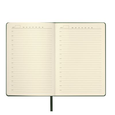 Ежедневник Molto недатированный, зеленый-7