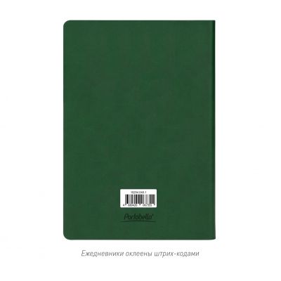 Ежедневник Latte NEW недатированный, зеленый/лимонный (без упаковки, без стикера)-7