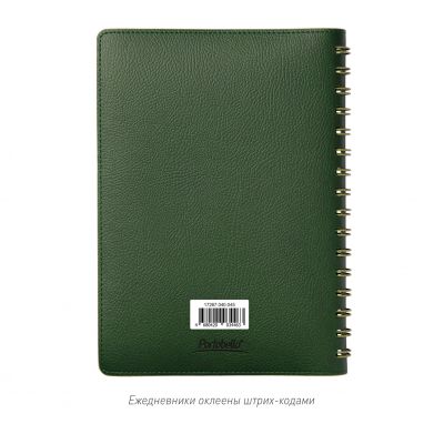 Ежедневник Vista недатированный, зеленый/салатовый-15
