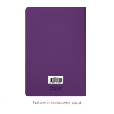 Ежедневник Спарк (Spark) недатированный, фиолетовый (с упаковкой, со стикерами)-15