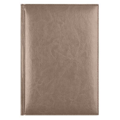 Ежедневник Birmingham недатированный без календаря, пепельный металлик (с лого AvD)-0