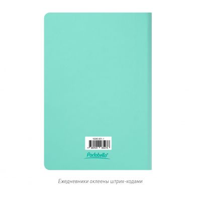 Ежедневник Spark недатированный, мятный (без упаковки, без стикера)-12