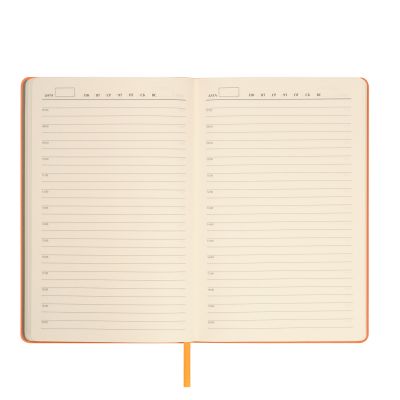 Ежедневник Sky недатированный, оранжевый (без упаковки, без стикера)-9