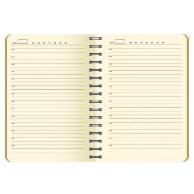 Ежедневник недатированный, Portobello Trend, Vista, 145х210, 256 стр, зеленый/салатовый-1