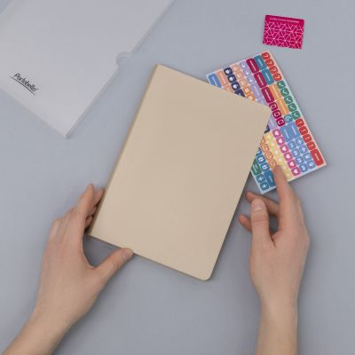 Ежедневник Спарк (Spark) недатированный, белое золото (с упаковкой, со стикерами)-13