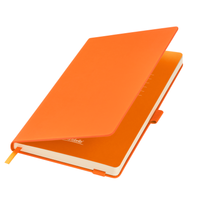 Ежедневник Альфа (Alpha) недатированный, оранжевый/оранжевый-0