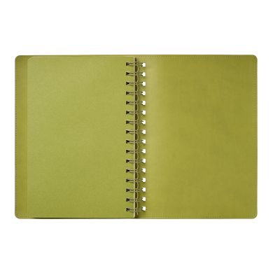 Ежедневник Виста (Vista) недатированный, зеленый/салатовый-9