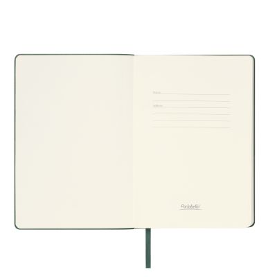 Ежедневник Spark недатированный, зеленый (с упаковкой, со стикерами)-7