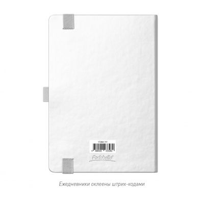 Ежедневник Альфа (Alpha) недатированный, серебро/серый-10