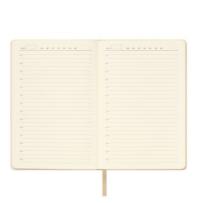 Ежедневник Spark недатированный, белое золото (с упаковкой, со стикерами)-7