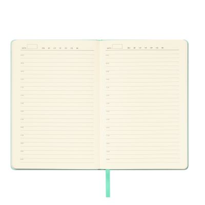 Ежедневник Spark недатированный, мятный (с упаковкой, со стикерами)-7