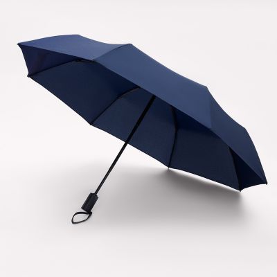 Зонт складной Пассат (Passat), синий-13