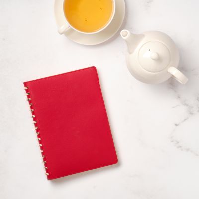 Ежедневник Vista недатированный, красный/бежевый-12