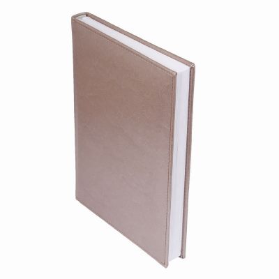 Ежедневник Birmingham недатированный без календаря, пепельный металлик (с лого AvD)-2