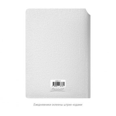 Ежедневник Molto недатированный, серебряный-15