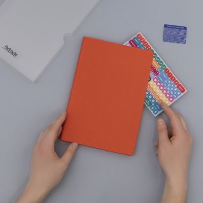 Ежедневник Rain недатированный, оранжевый-8