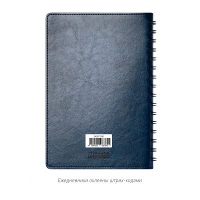 Ежедневник Vista Neo недатированный, синий-14