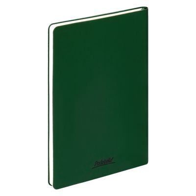 Ежедневник Spark недатированный, зеленый (без упаковки, без стикера)-5