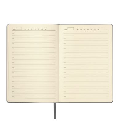 Ежедневник Molto недатированный, серебряный-7