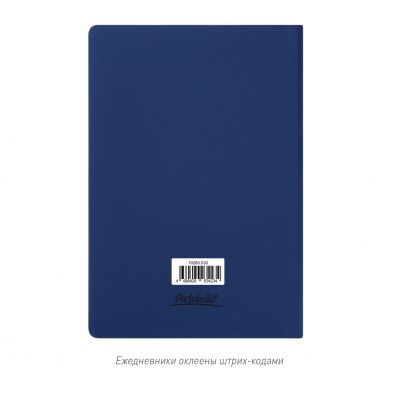Ежедневник Spark недатированный, синий (с упаковкой, со стикерами)-14