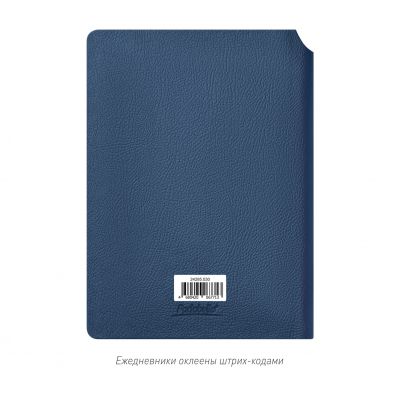 Ежедневник Molto недатированный, синий-15