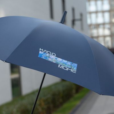 Зонт-трость Фантом (Phantom), синий-16